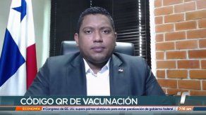 Director de la AIG explica cómo funciona la aplicación Vacucheck Lite Director de la AIG explica cómo funciona la aplicación Vacucheck Lite