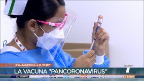 Ortega: Expertos analizan la creación de una vacuna que proteja contra varios coronavirus