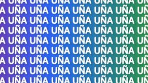 Acertijo visual nivel pro