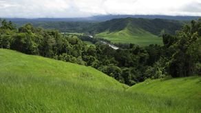 Bosque pluvial de Daintree en Australia, Patrimonio de la Humanidad.