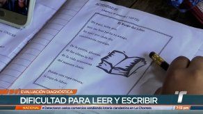 Dificultad para leer y escribir arroja prueba diagnóstica realizada a estudiantes