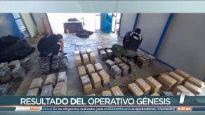 Más de 600 paquetes de droga incautados deja la Operación Génesis en las últimas horas
