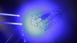 Raya cibernética puede nadar hacia una fuente de luz