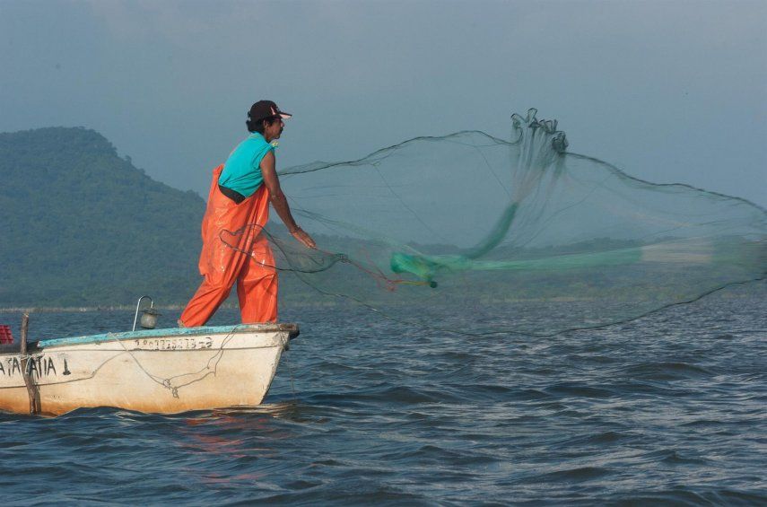 Fotografía cedida hoy por el Fondo Mundial para la Naturaleza (WWF) que muestra a un pescador lanzando su red en aguas mexicanas.