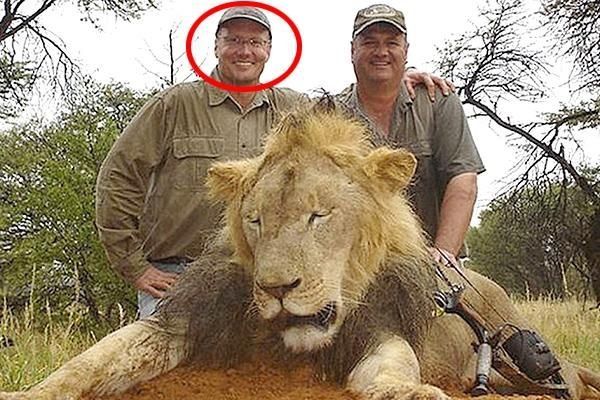 Acusan a hombre de EEUU cazar ilegalmente a león en Zimbabue