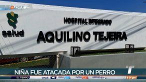 Niña en Penonomé fue hospitalizada tras ser atacada por un perro