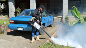 MINSA reporta más de 20,000 casos de dengue