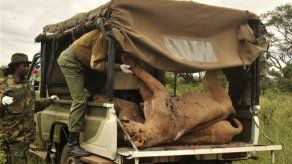 Aumentan los conflictos entre la fauna y las personas en Kenia