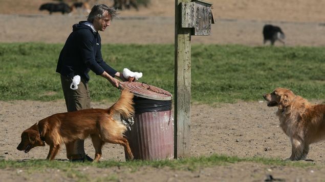 Maryland: Condominio ordena pruebas de ADN a heces de perro