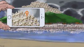 La UE promete reaccionar a los papeles del paraíso tras nuevas revelaciones