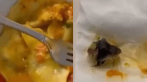 ¡Horroroso! Joven encuentra una cabeza de ratón en su ravioli