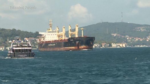 Otros cuatro cargueros con granos zarparon de los puertos ucranianos