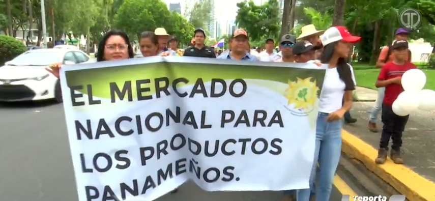 Productores solicitan al gobierno no importar arroz.