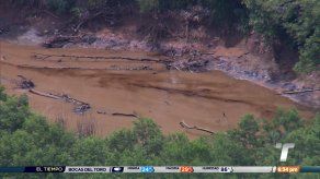 Continúa la limpieza del Río Juan Díaz tras contaminación Continúa la limpieza del Río Juan Díaz tras contaminación