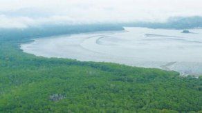 Piden discutir proyecto sobre humedales en sesiones extraordinarias