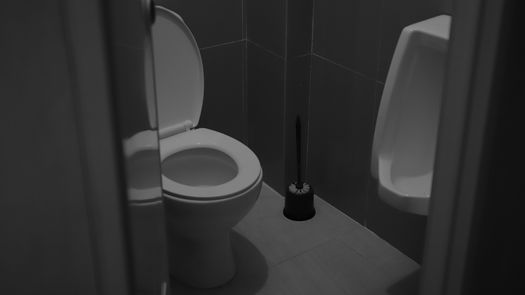 Conoce los síntoma de ir varias veces al baño.