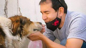 La covid-19 se lleva al ángel de los perros callejeros en Bolivia