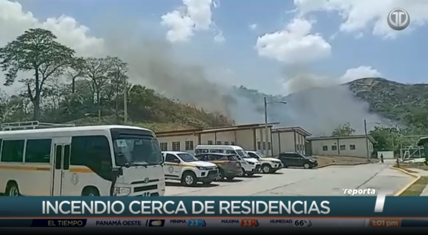 Incendio de masa vegetal. 