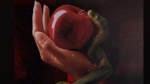 Fkn Manía lo nuevo de Mole, Italian Somali, BCA y TOT