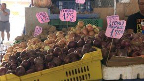 La cebolla mantiene precio elevado en Merca Panamá