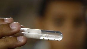 Ministros centroamericanos de Salud se reunirán en Honduras por virus de Zika
