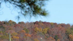 Escapan 3 reos de cárcel en Mississippi