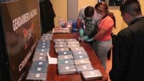Desmantelan como de película, red que traficaba cocaína a Rusia