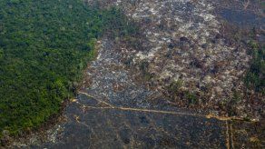 La deforestación en la Amazonía se dispara y aumenta presión sobre Bolsonaro