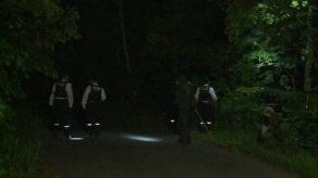 Intensa búsqueda de niño abandonado en un bosque de Japón como castigo
