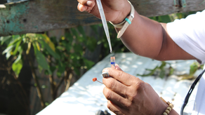 Minsa confirma primera muerte por dengue grave