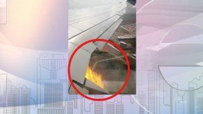 Ave provoca percance en un motor de avión de Copa Airlines tras despegue