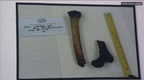 IMELCF explica proceso de identificación de restos Yvonne Baldelli