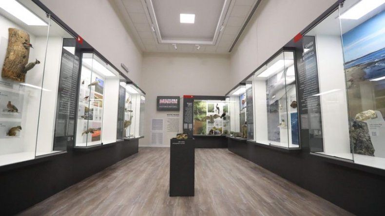 Museo de Historia Natural inaugura sede en antigua cárcel uruguaya remodelada