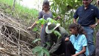 Programa de reforestación 2026 busca recuperar áreas. Programa de reforestación 2026 busca recuperar áreas.