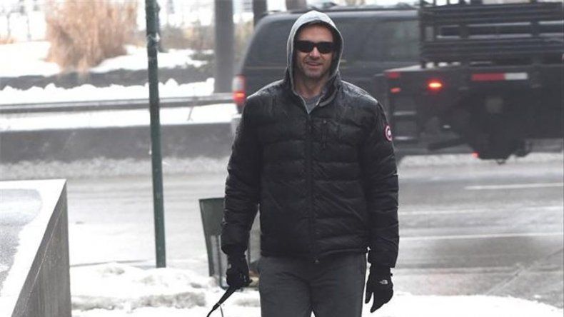 Hugh Jackman habla con sus perros por videollamada