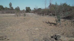 La sequía se agiganta y golpea duro el centro de Chile