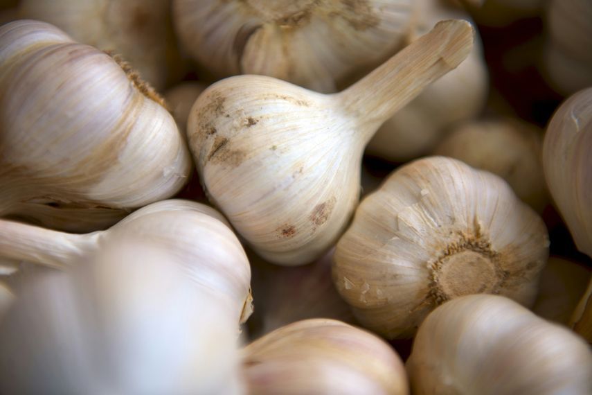 Benefeicios de comer ajo