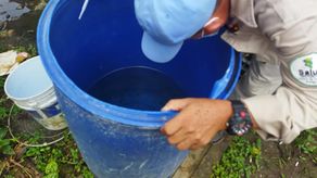 &nbsp;La prevención y el control del dengue debe ser intersectorial einvolucrar a la familia y la comunidad.