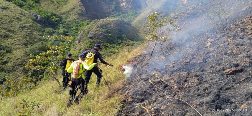 Incendio en Cerro Guacamaya: Continúan labores para extinguir el fuego