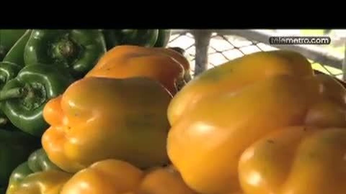 Gobierno prohíbe ocho plaguicidas altamente peligrosos Gobierno prohíbe ocho plaguicidas altamente peligrosos