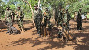 África: los rebeldes de Kony siguen elusivos