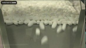 La resistencia a los antibióticos ya es una realidad