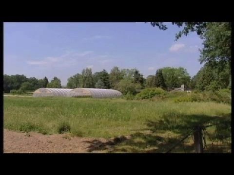 Alemania confirma que germinados causaron brote de E. coli