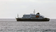 OMS monitorea brote de hantavirus en barco internacional OMS monitorea brote de hantavirus en barco internacional