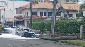 El suministro de luz eléctrica se ha afectado en Bella Vista tras caída de una palma.