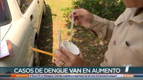 Se reportan más de 400 casos de dengue en San Miguelito