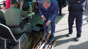 Programa de compra de armas y municiones por alimentos y medicinas.
