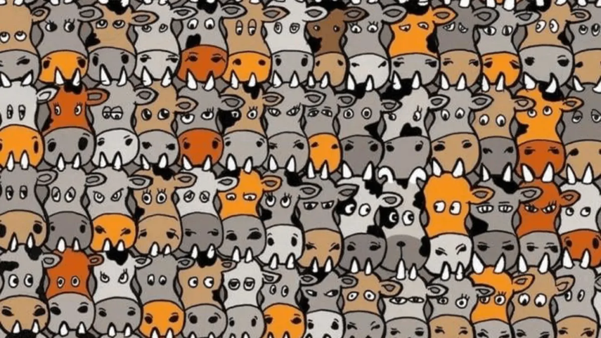 Acertijo Visual&nbsp;