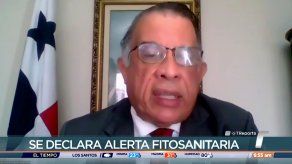 Ministro explica alerta fitosanitaria ante amenaza del Caracol Gigante Africano