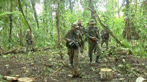 Se registra enfrentamiento entre grupos delincuenciales y Senafront en Darién